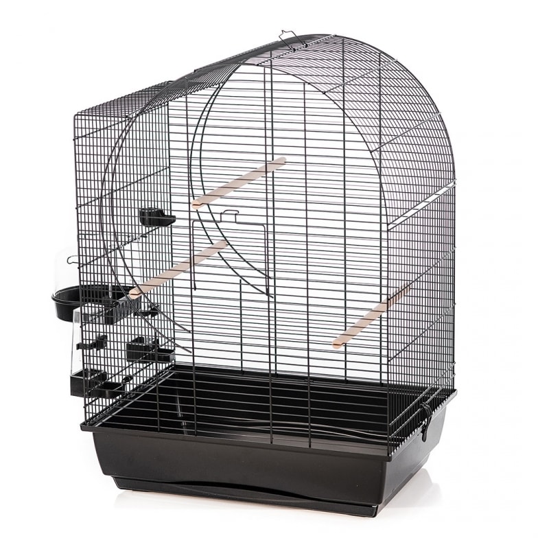 Vogelkooi Duvo Elizabeth Vogelkooi Duvo Elizabeth