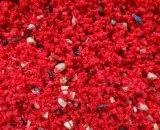 Witte Molen eivoer rood 1 kilo