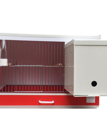 Kunststof broedkooi Engelse Parkieten