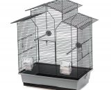 Vogelkooi Duvo Iza 2