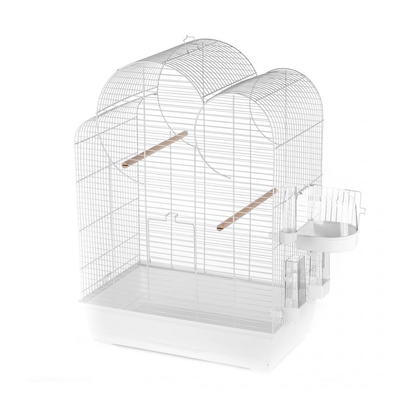 Vogelkooi Duvo Eliza Vogelkooi Duvo Eliza