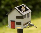 Vogelvoederhuisje met bad