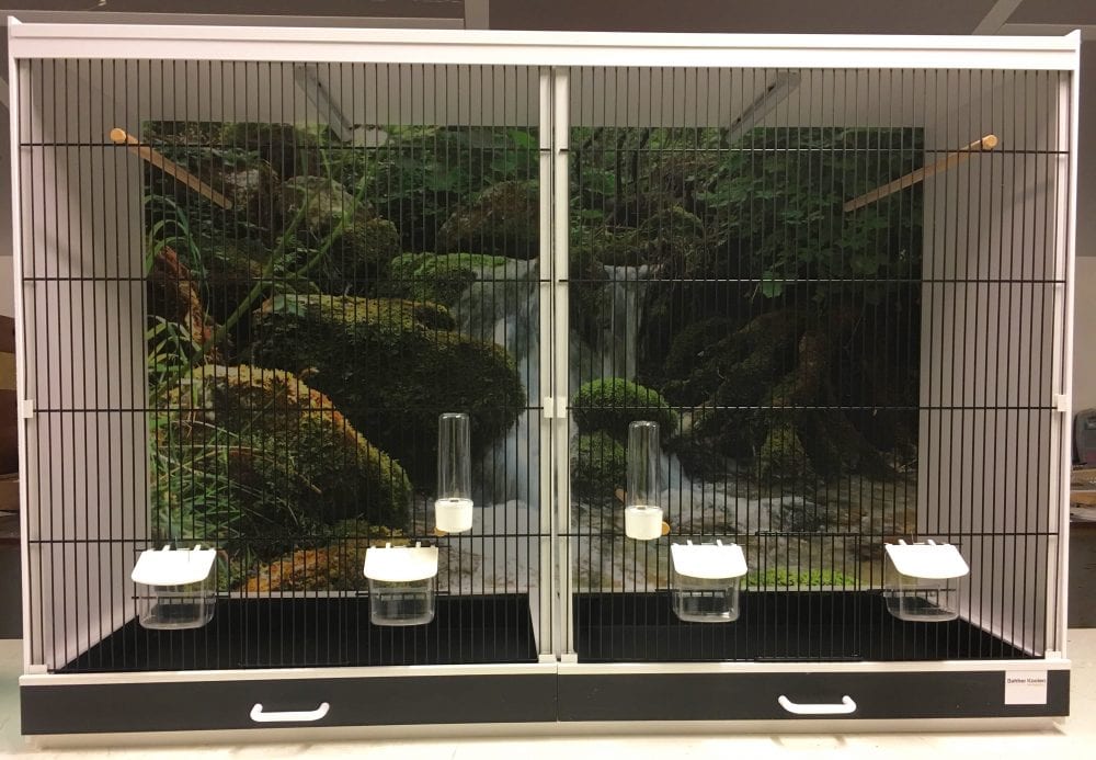 Kunststof broedkooi met fotoprint Kunststof broedkooi met fotoprint