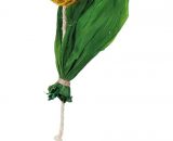 Vogelspeelgoed kokosnoot aan sisaltouw