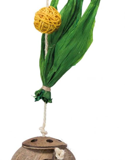 Vogelspeelgoed kokosnoot aan sisaltouw