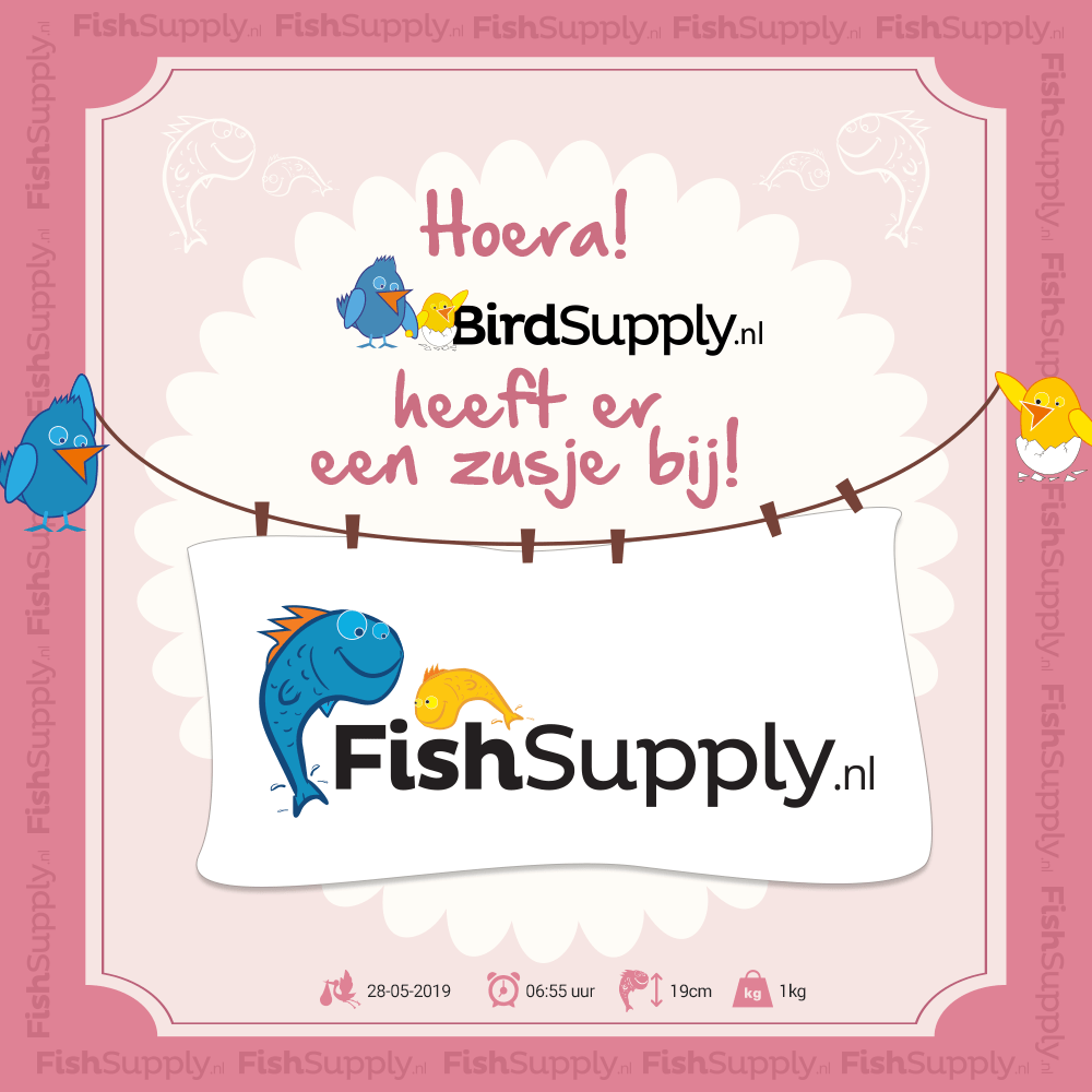 Hoera, wij hebben er een zusje bij!