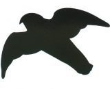 Raamstickers roofvogels