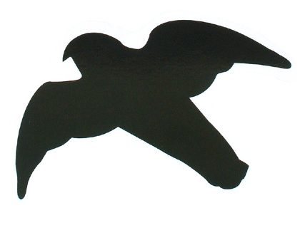 Raamstickers roofvogels