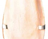 Sepiaschaal klein met houder