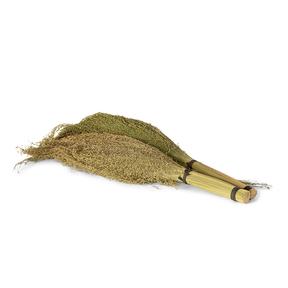 Pagima Green Gras 2 bundels Pagima Green Gras 2 bundels