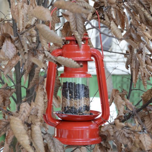 Vogelvoederlantaarn
