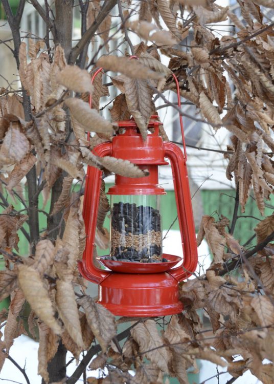 Vogelvoederlantaarn