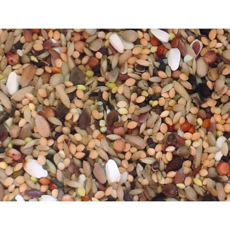 slaats-agaporniden slaats-agaporniden