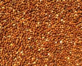 Millet rood