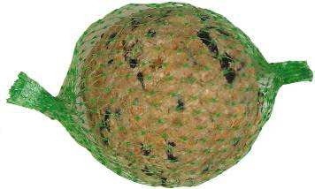 mezenbol-vetbol-voor-vogels