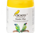 Aves Kracht