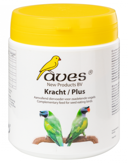 Aves Kracht
