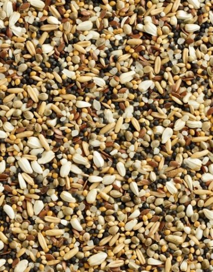 Snoepzaad speciaal voor vogels