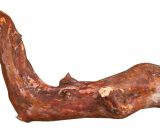 Natuurhouten zitstok