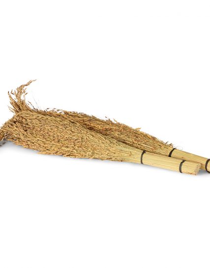 Delicha Gras 2 bundels