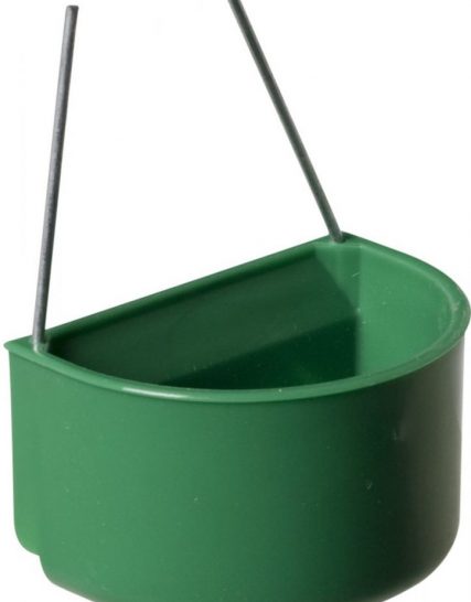 Kolibrie bakje klein groen