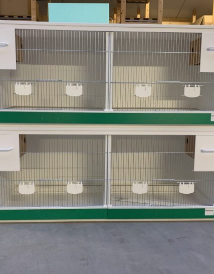 Kunststof broedkooien parkieten 2 delig met accentkleur