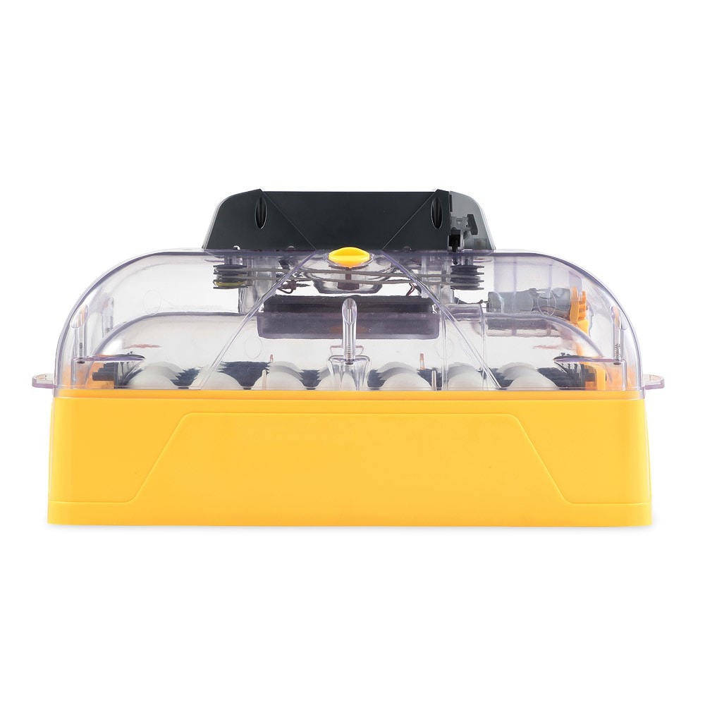 tempbrinsea_ovation28ex_side_0747_basesquare_1280x1280