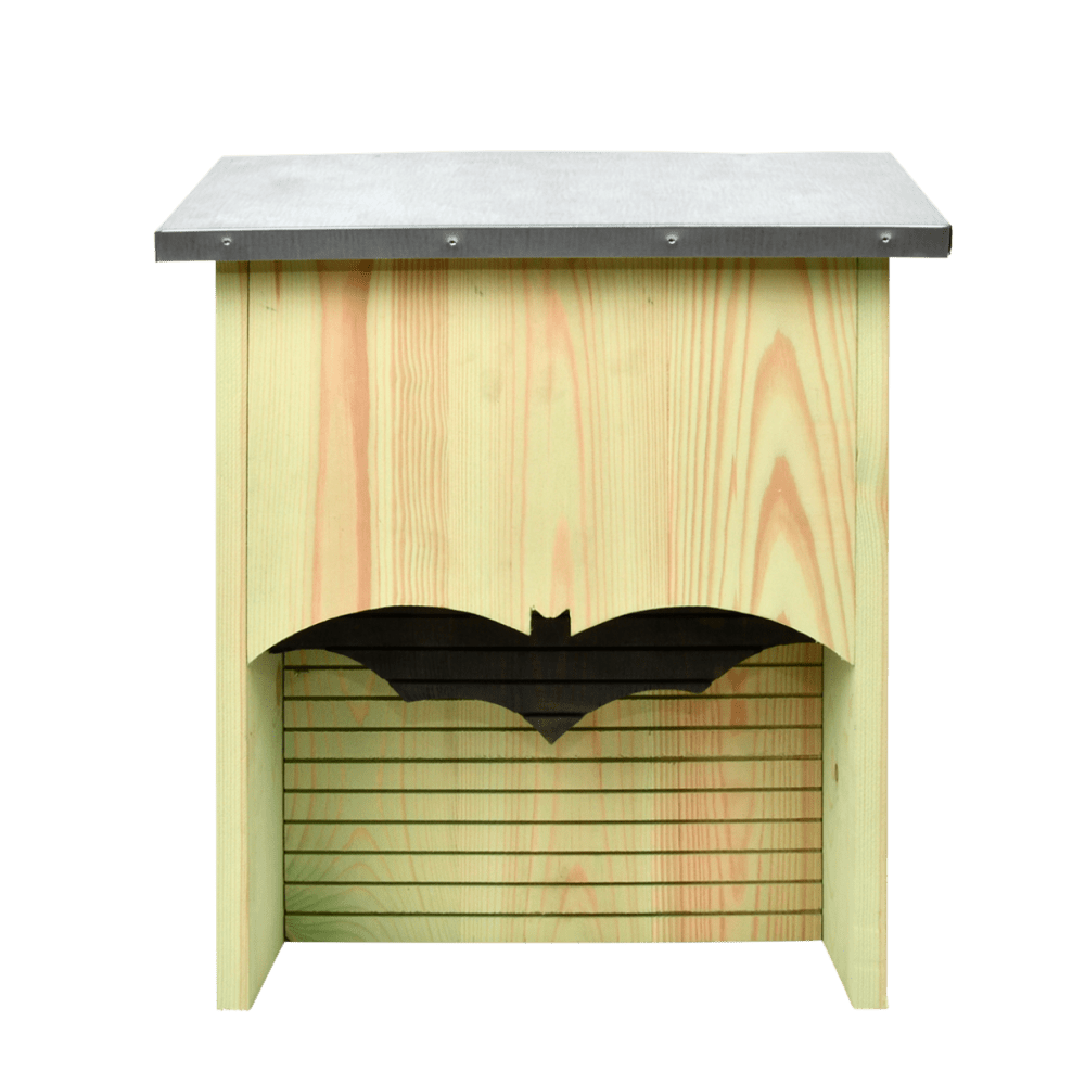 Vleermuiskast silhouet Vleermuiskast silhouet