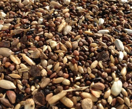 Slaats Goudvinkenvoer  is een natuurlijk en gezond voedingsproduct.
