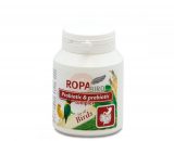 RopaBird Probiotic & Prebiotic