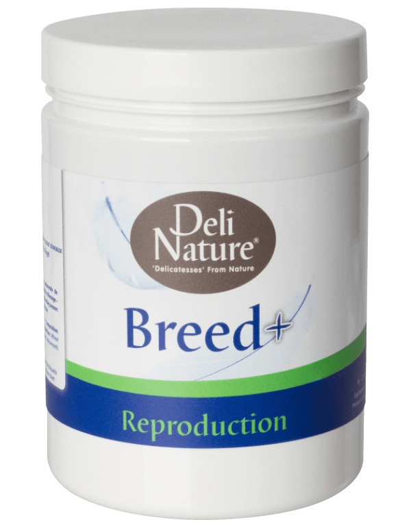 Deli Nature Breed + Deli Nature Breed +