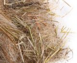 Nestmateriaal parkieten