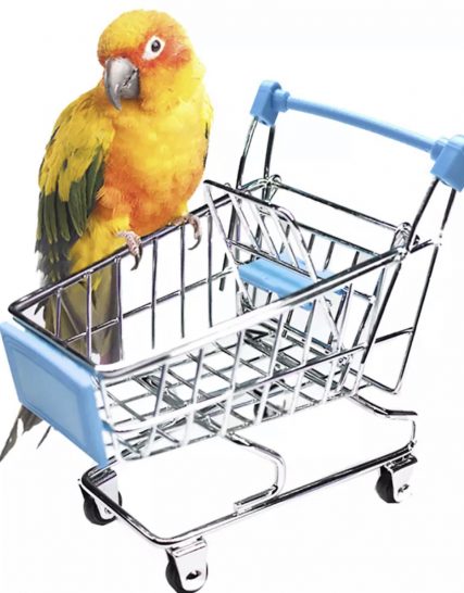 Winkelwagen voor vogels