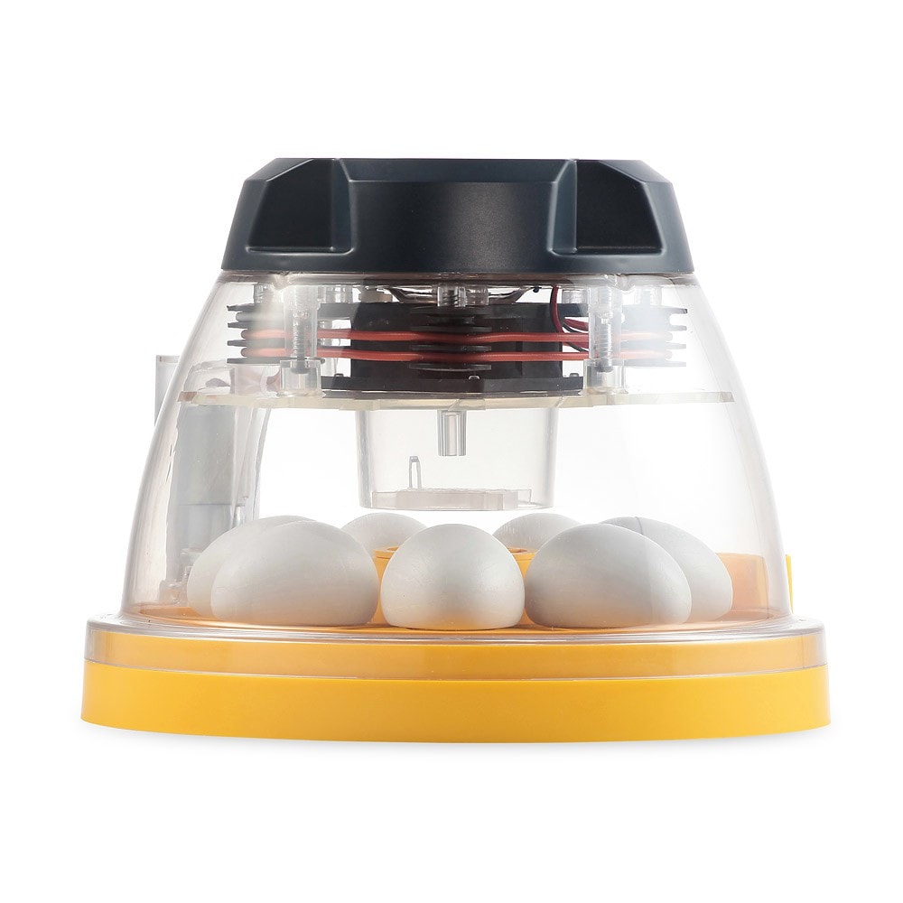 tempbrinsea_mini_iiadv_side_0732_basesquare_1280x1280