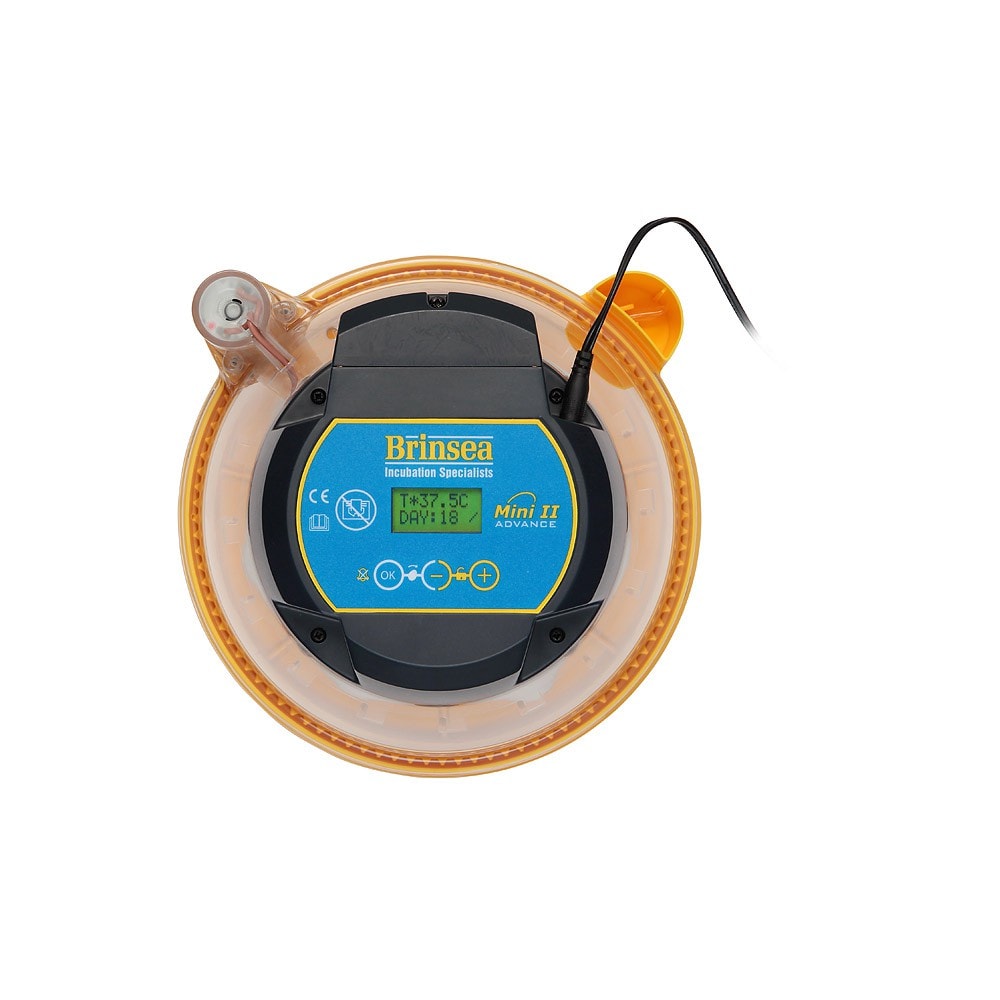 tempbrinsea_mini_iiadv_top_0824_basesquare_1280x1280