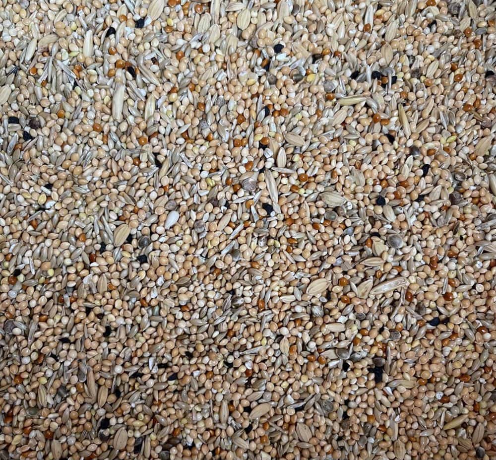 Rijstvogelzaad Rijstvogelzaad