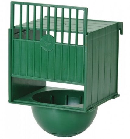 Voorhangnest / keizersnest groen