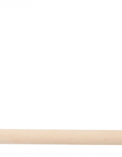 Vogelschommel papegaai