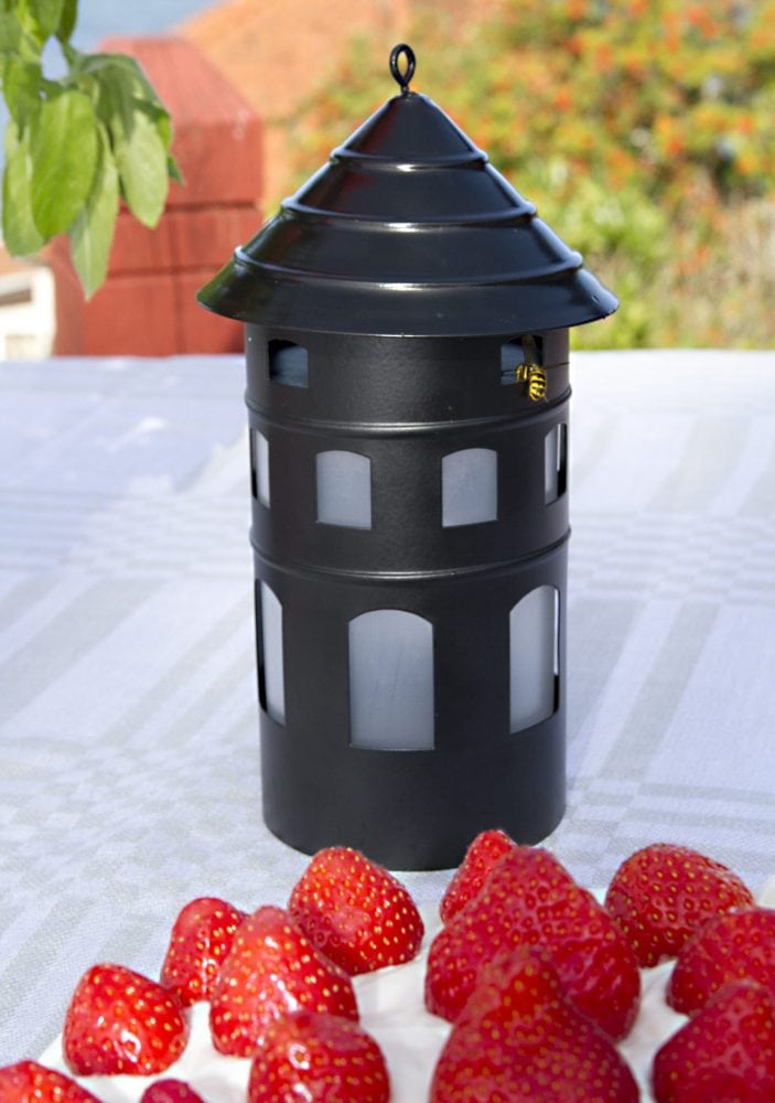 Wespenvanger metaal zwart Wespenvanger metaal zwart