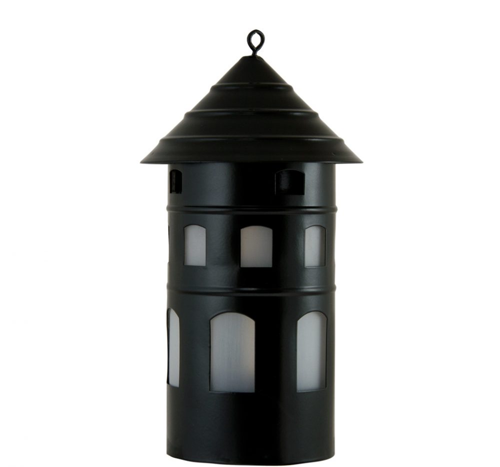 Zwarte wespenvanger Zwarte wespenvanger