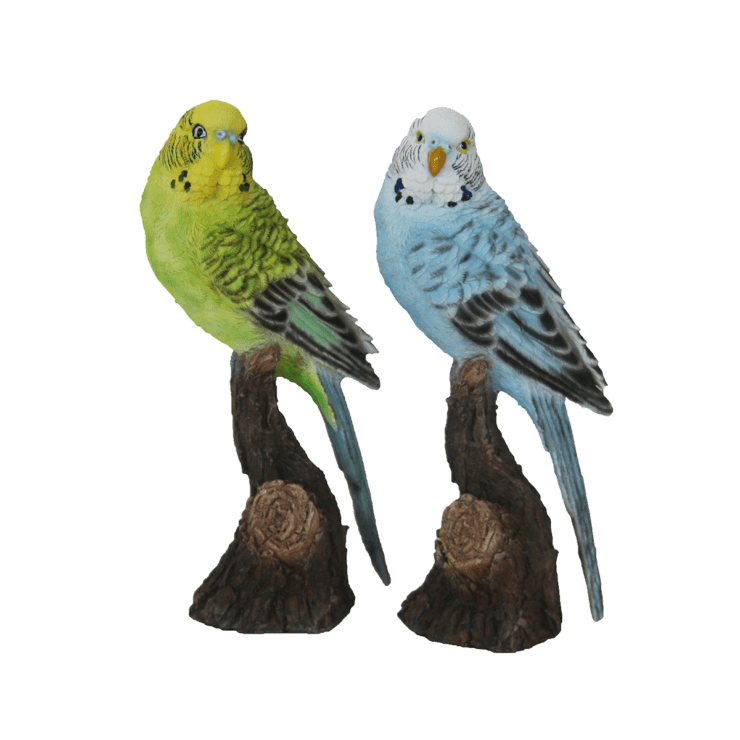 Grasparkiet op stam Grasparkiet op stam