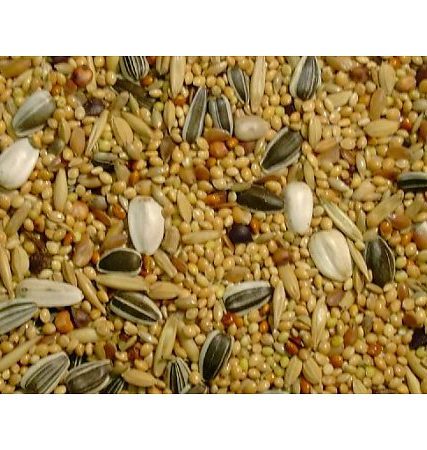 Slaats Valkparkietenzaad