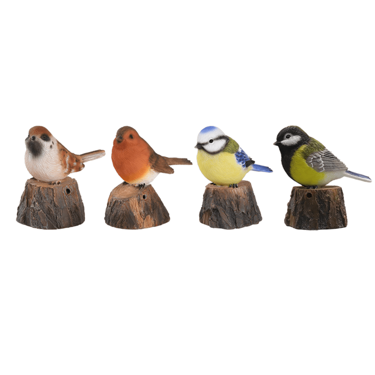 Begroetingsvogels Begroetingsvogels