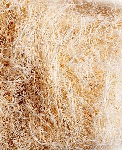 Nestmateriaal Sisal 50 gram